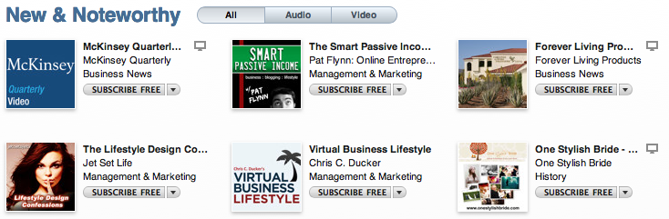Virtual Business Lifestyle Podcast